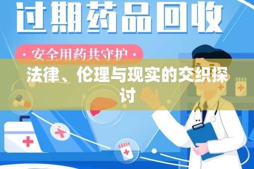 南京法律、伦理与现实的交织探讨