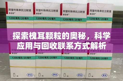 南京探索槐耳颗粒的奥秘，科学应用与回收联系方式解析