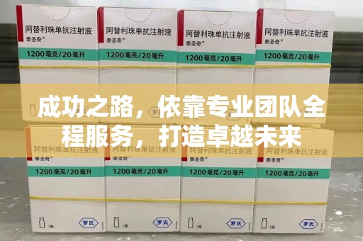 南京成功之路，依靠专业团队全程服务，打造卓越未来