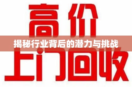 南京揭秘行业背后的潜力与挑战