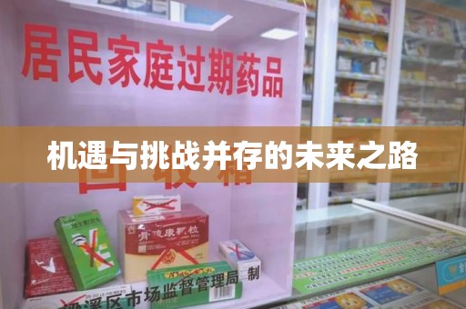 南京机遇与挑战并存的未来之路