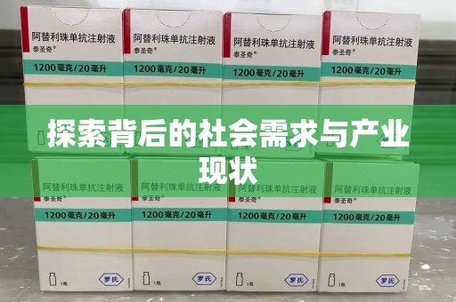 南京探索背后的社会需求与产业现状