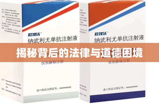 南京揭秘背后的法律与道德困境