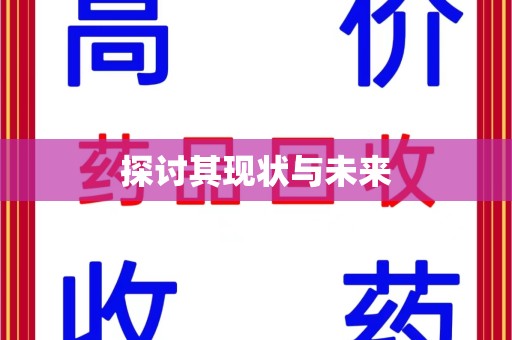 南京探讨其现状与未来