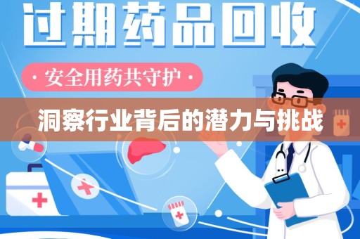 南京洞察行业背后的潜力与挑战