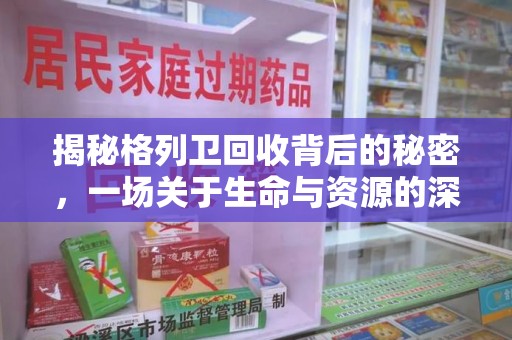南京揭秘格列卫回收背后的秘密，一场关于生命与资源的深刻探讨