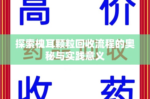 南京探索槐耳颗粒回收流程的奥秘与实践意义