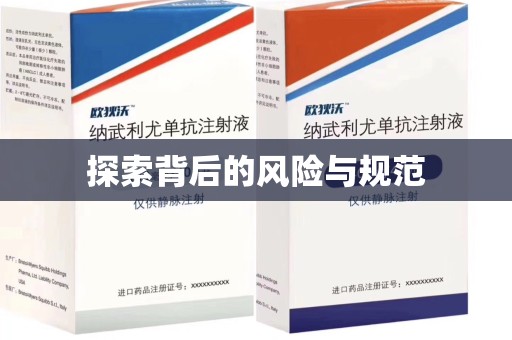 南京探索背后的风险与规范