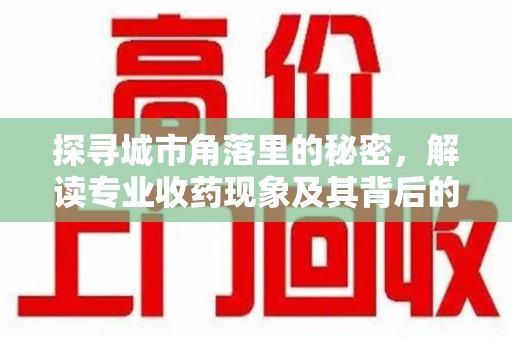 南京探寻城市角落里的秘密，解读专业收药现象及其背后的故事