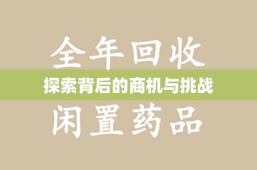南京探索背后的商机与挑战